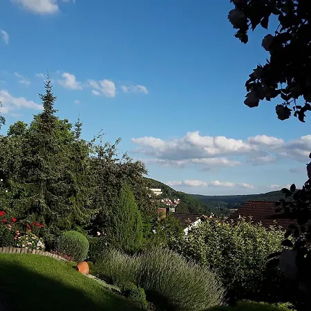 Bieniussa Gemunden am Main